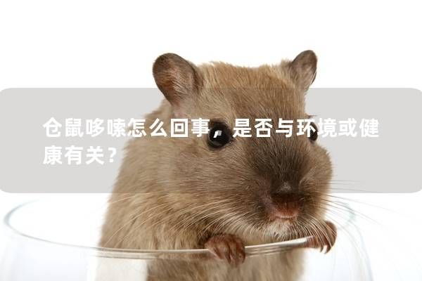 倉鼠哆嗦怎么回事，是否與環(huán)境或健康有關(guān)？