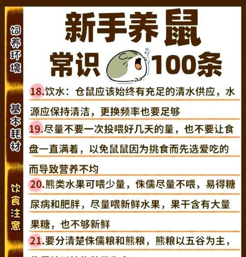 在寵物店挑選倉鼠時應(yīng)注意哪些要點？如何鑒別倉鼠的健康狀況？