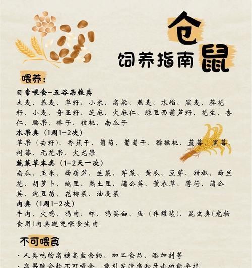 在寵物店挑選倉鼠時應(yīng)注意哪些要點？如何鑒別倉鼠的健康狀況？