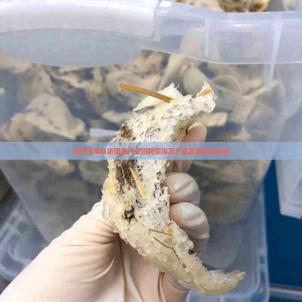 苏州市李良济健康产业招聘信息及产业发展状况解析