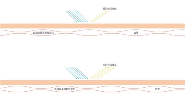小米11能檢測心率：準(zhǔn)確度堪比智能手表