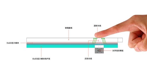 小米11能檢測心率：準(zhǔn)確度堪比智能手表