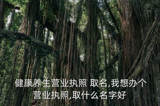  健康養(yǎng)生營業(yè)執(zhí)照 取名,我想辦個營業(yè)執(zhí)照,取什么名字好