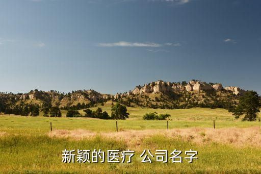 新穎的醫(yī)療 公司名字