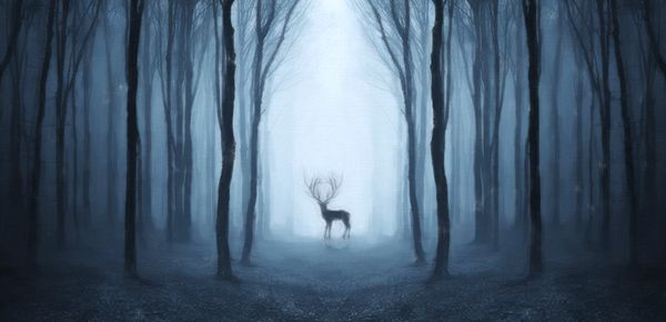 2岁孩子的身体发育：如何让孩子变得更加健康？