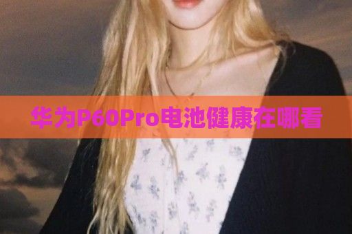 華為P60Pro電池健康在哪看