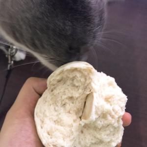 燕麦馒头的做法 步骤7