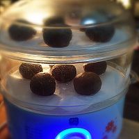 蜜豆可可饅頭～好吃又好做