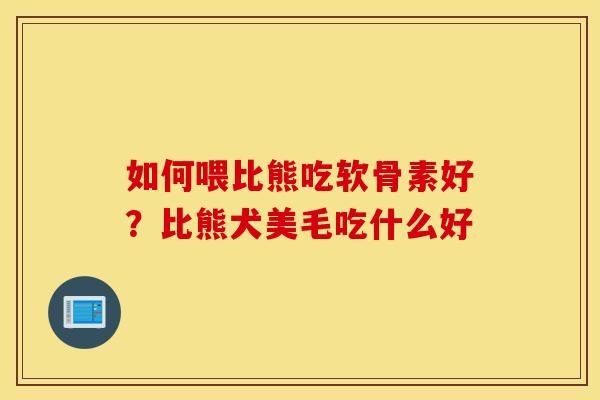 如何喂比熊吃軟骨素好？比熊犬美毛吃什么好