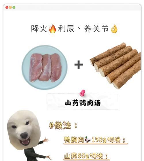 比熊多久吃一次山藥比較好？山藥對(duì)狗狗有哪些健康益處？