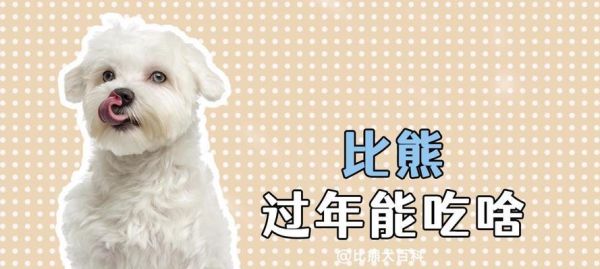 比熊可以每天吃雞肉凍干嗎？為什么比熊不吃狗糧？