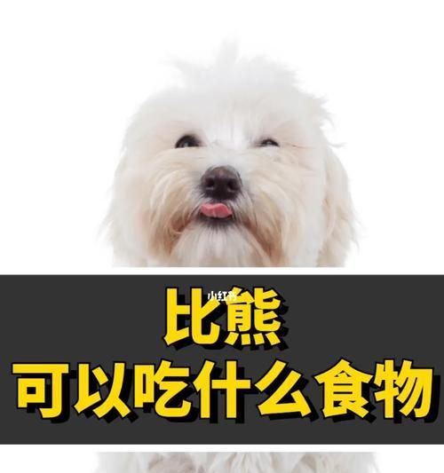 比熊可以每天吃雞肉凍干嗎？為什么比熊不吃狗糧？
