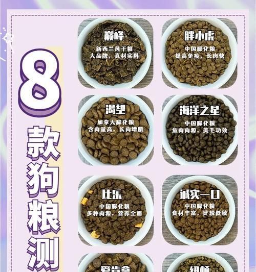 比熊更適合吃狗糧還是家常飯？哪種喂養(yǎng)方式更健康？