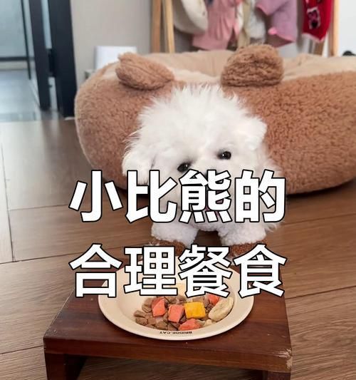 比熊更適合吃狗糧還是家常飯？哪種喂養(yǎng)方式更健康？