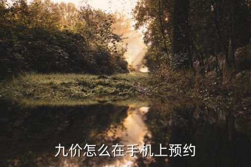 九价怎么在手机上预约