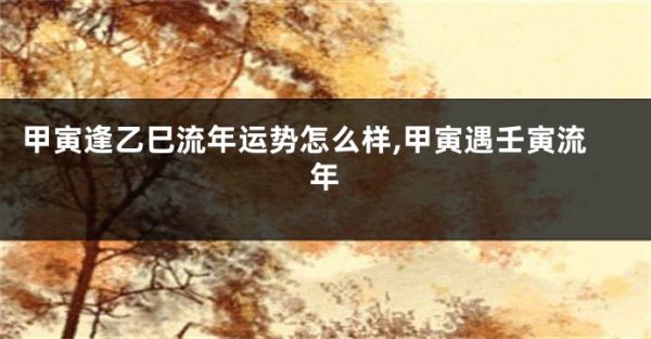 甲寅逢乙巳流年運(yùn)勢怎么樣,甲寅遇壬寅流年