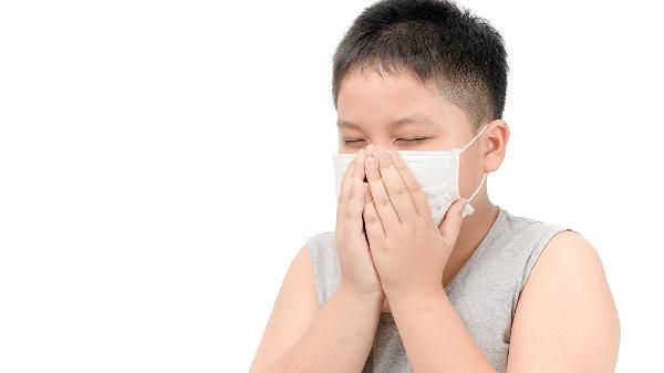 六年級的男孩子談戀愛了怎么辦