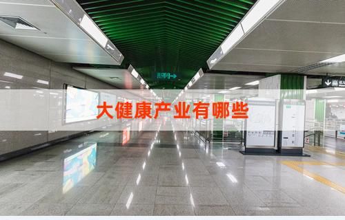 大健康產(chǎn)業(yè)有哪些