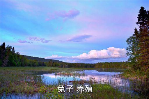  兔子 养殖