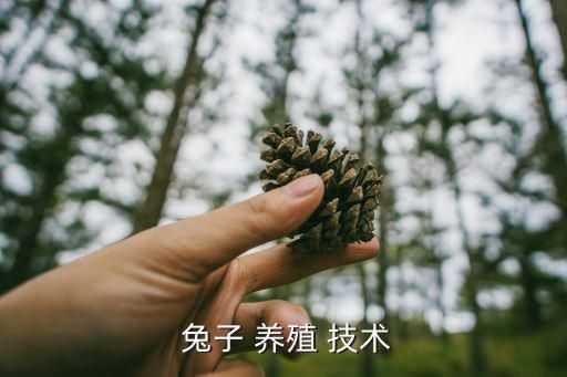  兔子 养殖 技术