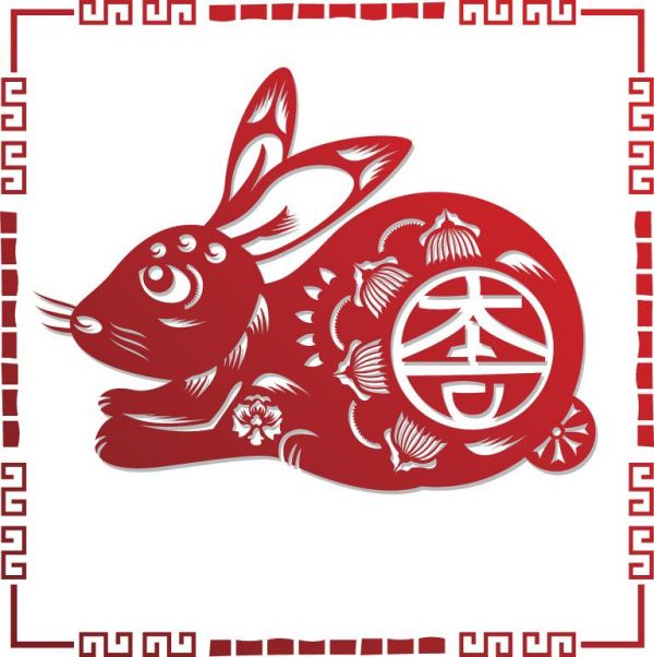 養(yǎng)兔子的方法和注意事項(xiàng)(如何照顧你的兔子) 第2張