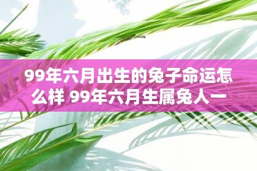 99年六月出生的兔子命運(yùn)怎么樣 99年六月生屬兔人一生命運(yùn)