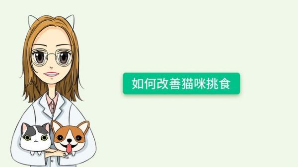 貓咪挑食怎么辦