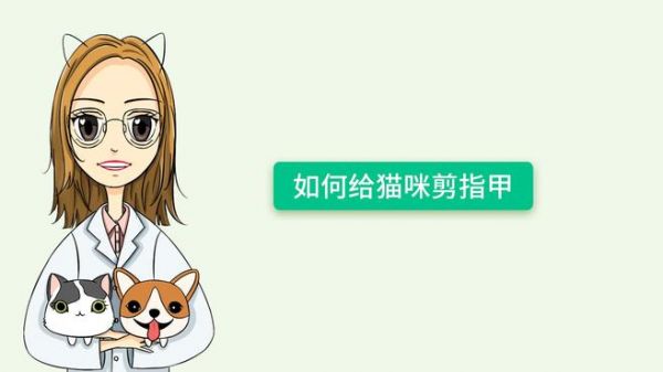 貓咪指甲要怎么剪