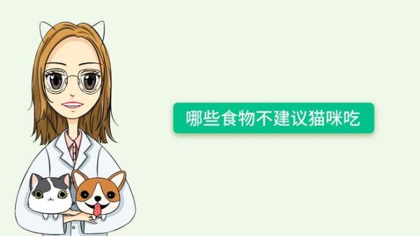 貓咪吃這些食物的隱患