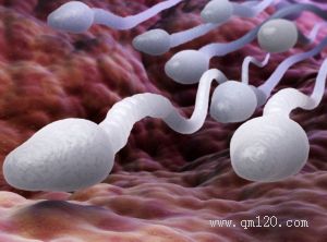 如何保障高齡女性的生育健康？