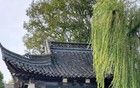楊州高校的大合并究竟是好還是不好