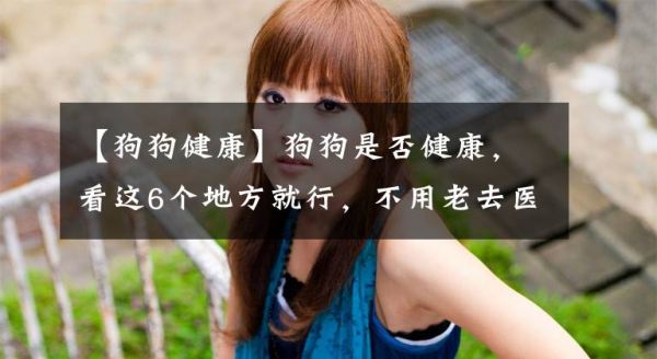 【狗狗健康】狗狗是否健康，看這6個地方就行，不用老去醫(yī)院文章配圖