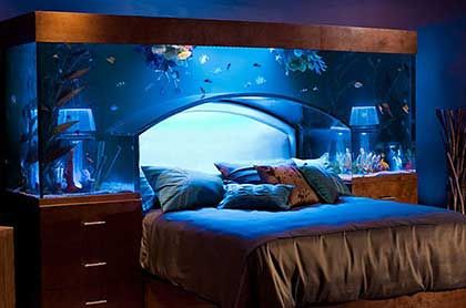 鱼缸放卧室不利于健康 