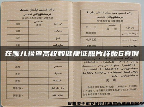 在哪兒檢查高校和健康證照片樣版6真假