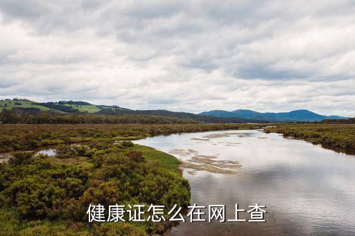 健康證怎么在網(wǎng)上查
