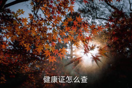 健康證怎么查