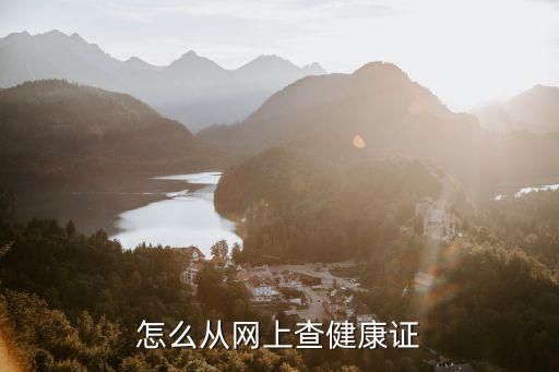 怎么从网上查健康证