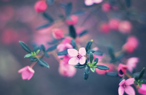 中學(xué)生心理素質(zhì)培養(yǎng)方法