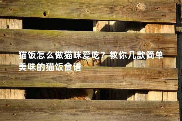 貓飯?jiān)趺醋鲐堖鋹?ài)吃？教你幾款簡(jiǎn)單美味的貓飯食譜