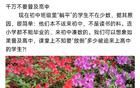 千萬(wàn)不要普及高中，普及高中將造成教育資源的巨大浪費(fèi)！