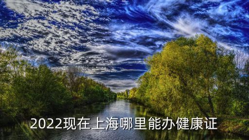 2022现在上海哪里能办健康证
