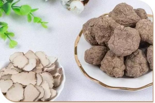 虎乳靈芝，又叫“虎奶菌”，可以治哮喘、咽炎、久咳不愈！