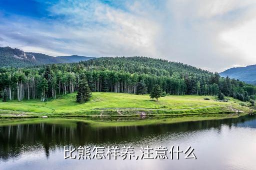  比熊怎樣養(yǎng),注意什么