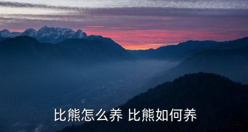  比熊怎么養(yǎng) 比熊如何養(yǎng)