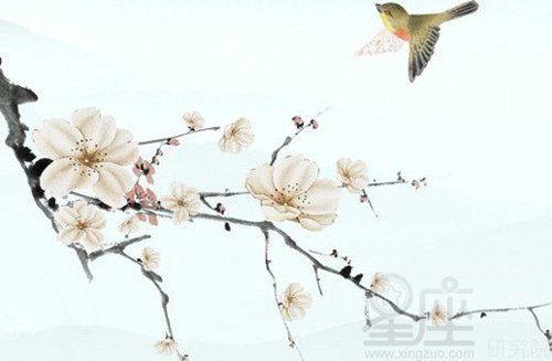 中医理疗馆取名字大全