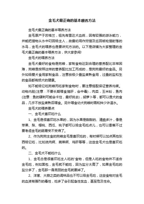 金毛犬最正确的基本喂养方法