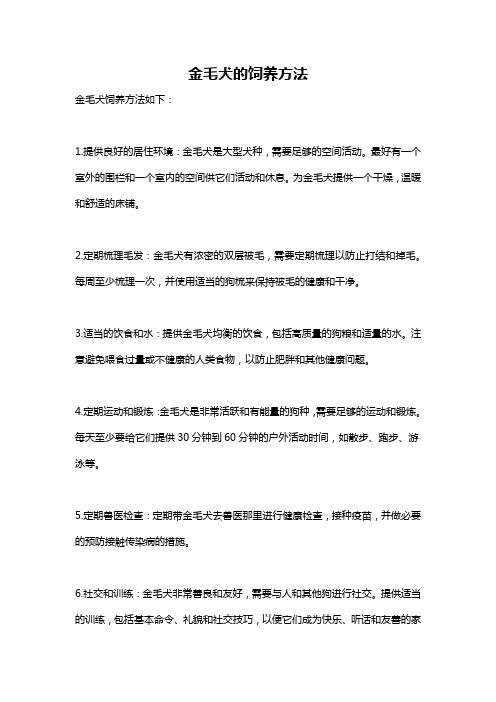 金毛犬的饲养方法