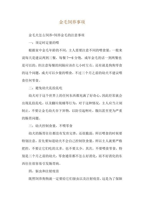 金毛饲养事项