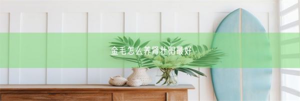 金毛怎么养肾壮阳最好(图1)