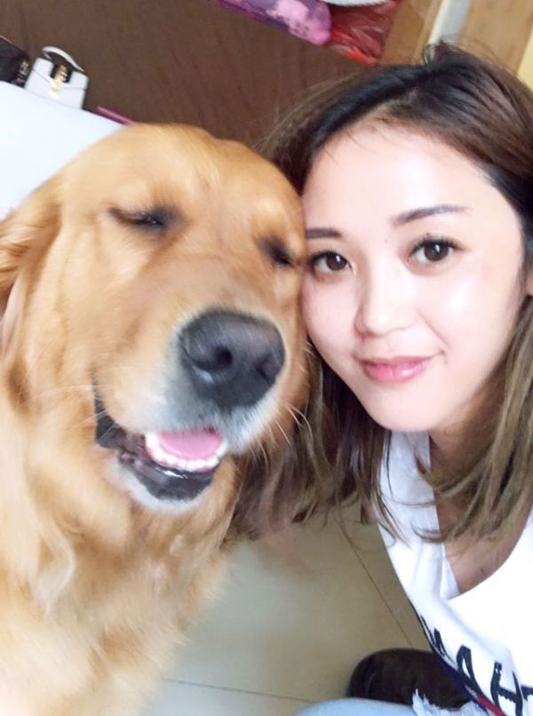 金毛狗怎么養(yǎng)才是正確的